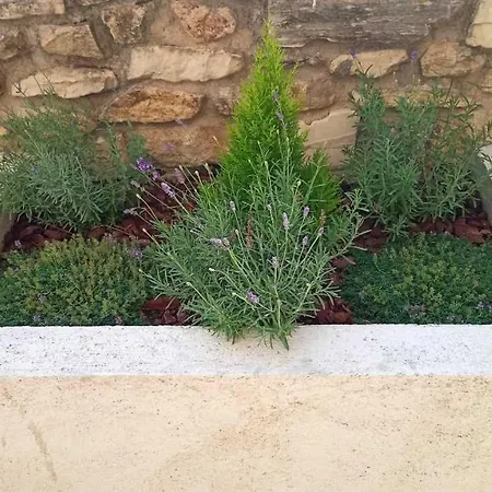 La Pintada בית נופש *