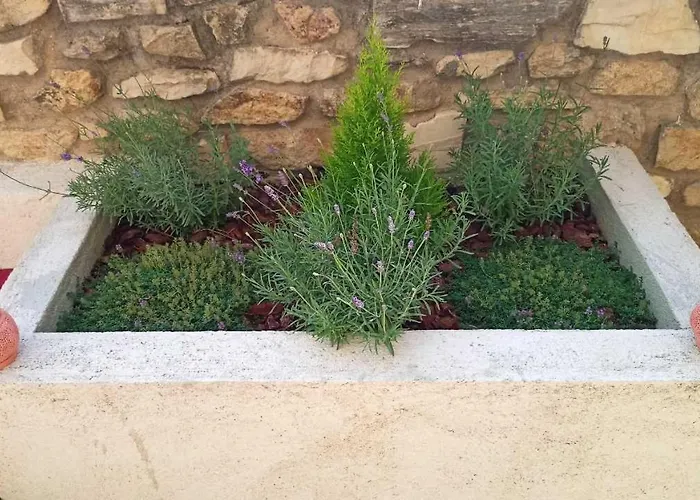 La Pintada Holiday home *